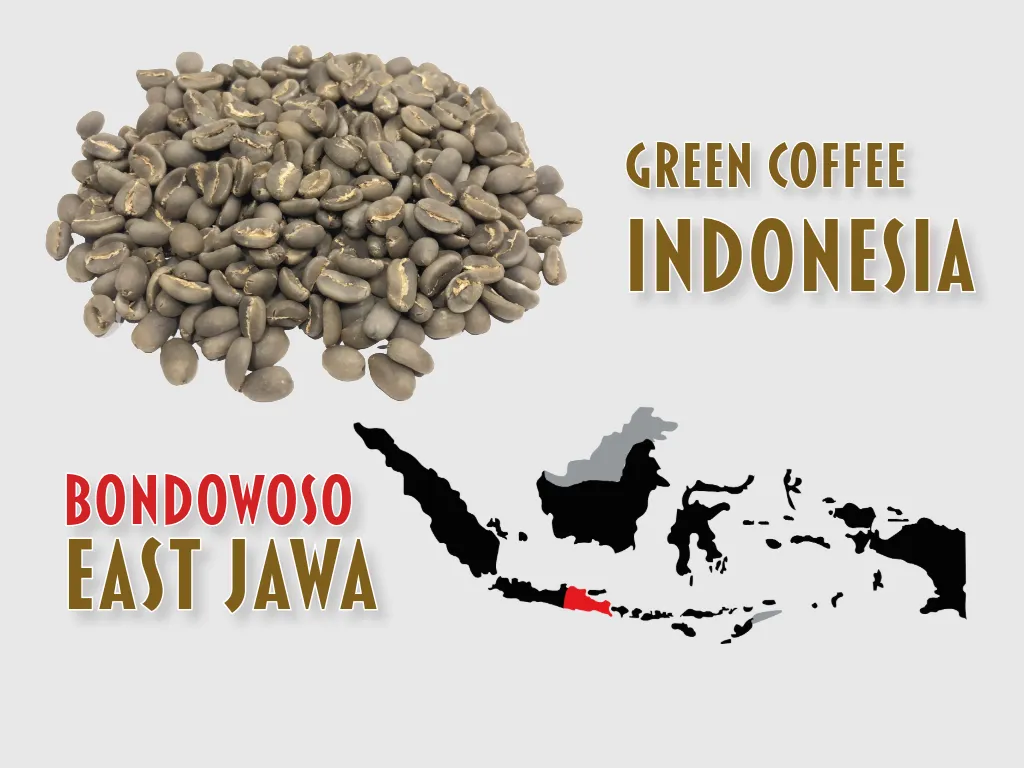 IKI WAE, Green Coffee, "AURELIA DA'GABO", East-Jawa Indonesia, Grade 1 Arabica, Washed, 70kg