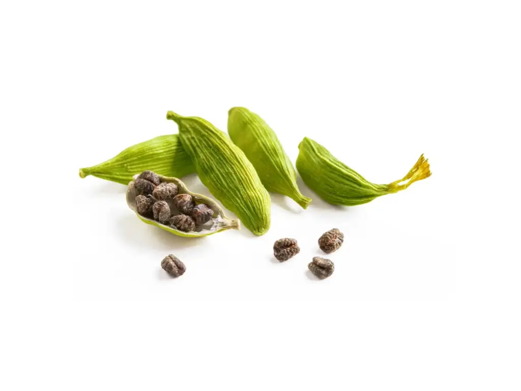 GREEN CARDAMOM, Best Premium Spices, REMPAH2, Whole, Intense Taste 