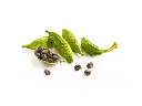 GREEN CARDAMOM, Best Premium Spices, REMPAH2, Whole, Intense Taste 