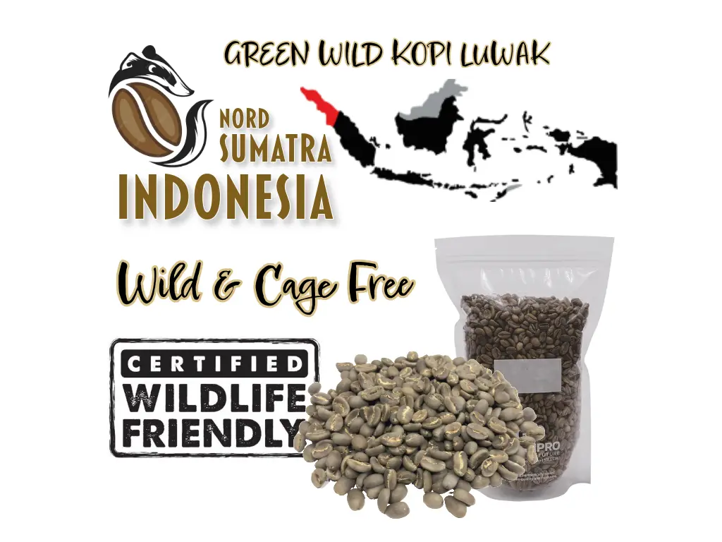 Rohkaffee "LUWAK" WILD Zertifiziert, Da'Gabo, Grade 1 TP, Nord Sumatra Indonesia, Gewaschen