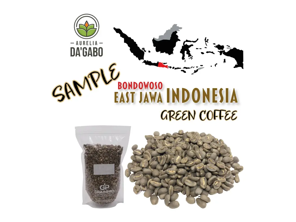SAMPLE "GUSTI", Green Coffee, "AURELIA DA'GABO",  East-Jawa Bondowoso Indonesia, Specialty Arabica, Washed