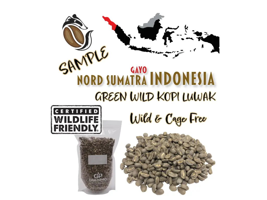 [SCOGR-NSG-G1ALuWi-100g] SAMPLE "LUWAK", Green Coffee Luwak, "AURELIA DA'GABO", Nord-Sumatra Indonesia, Certified Wild, Grade 1 TP, Washed